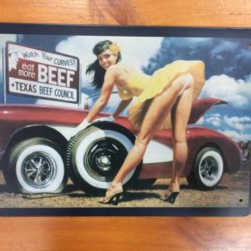 Tranh inox Hình Cô Gái Sexy Bên Xe