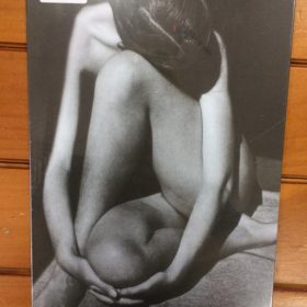 Tranh inox Hình Cô Gái Đang Ngồi