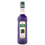 syrup-teisseire-blackcurrant