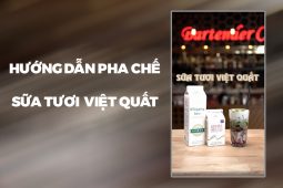 Hướng dẫn pha chế sữa tươi Việt Quất