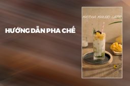 Hướng dẫn pha chế Matcha Mango Latte