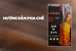 Hướng dẫn pha chế Sinh tố Xoài Mexico