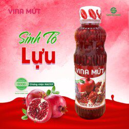 vina mứt lựu 1l