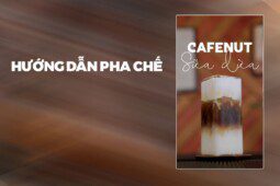 Hướng Dẫn Pha Chế Cafenut Sữa Dừa